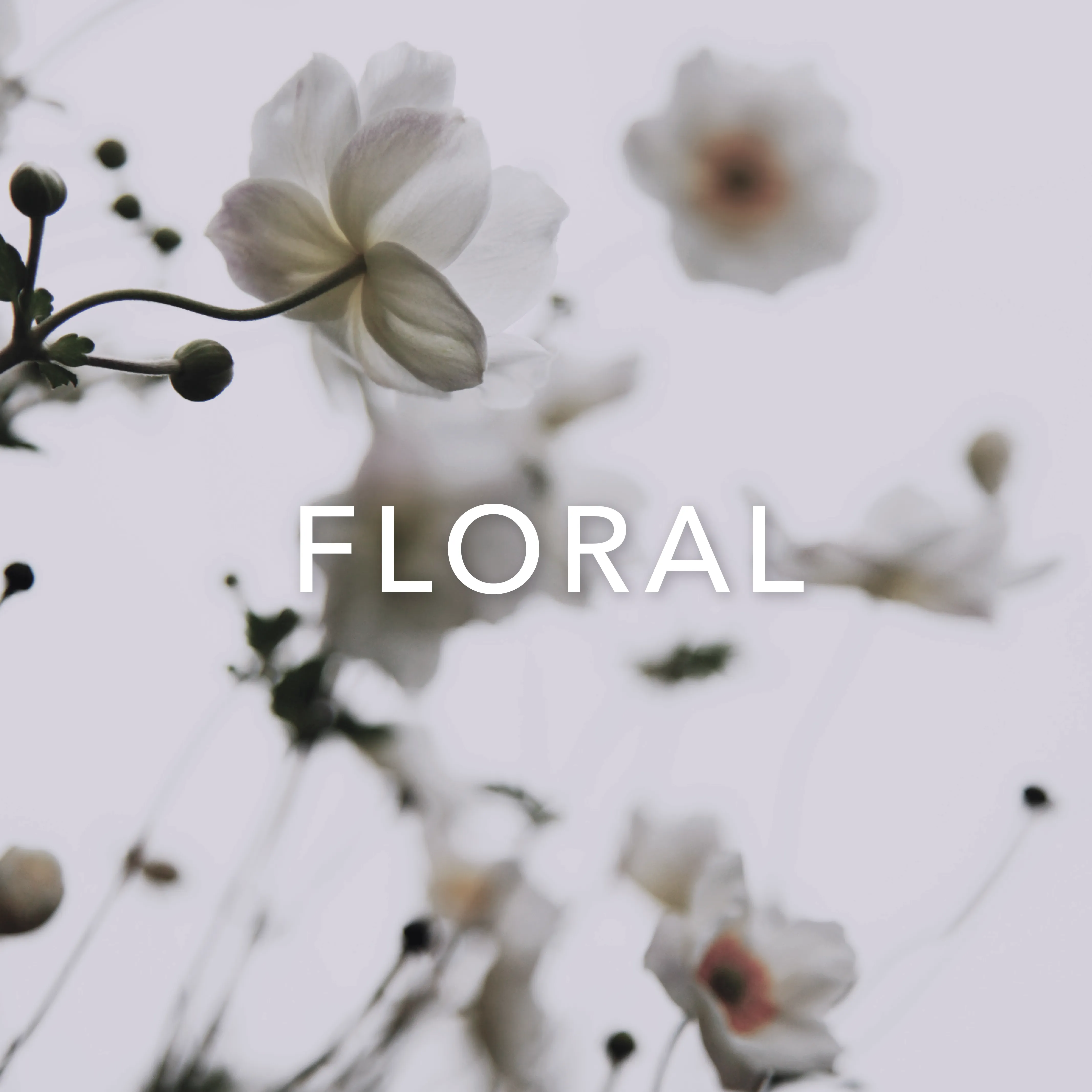 30 mL Roll-On Perfume Oils - Floral Fragrances