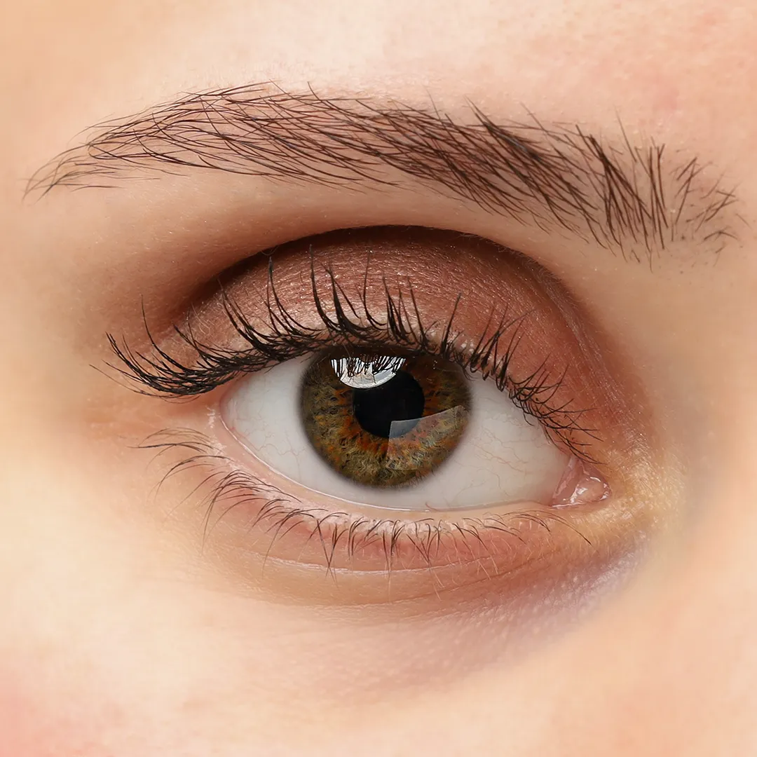 309 - Eyeshadow Bronce