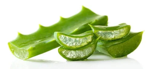 Aloe Vera Gel Base
